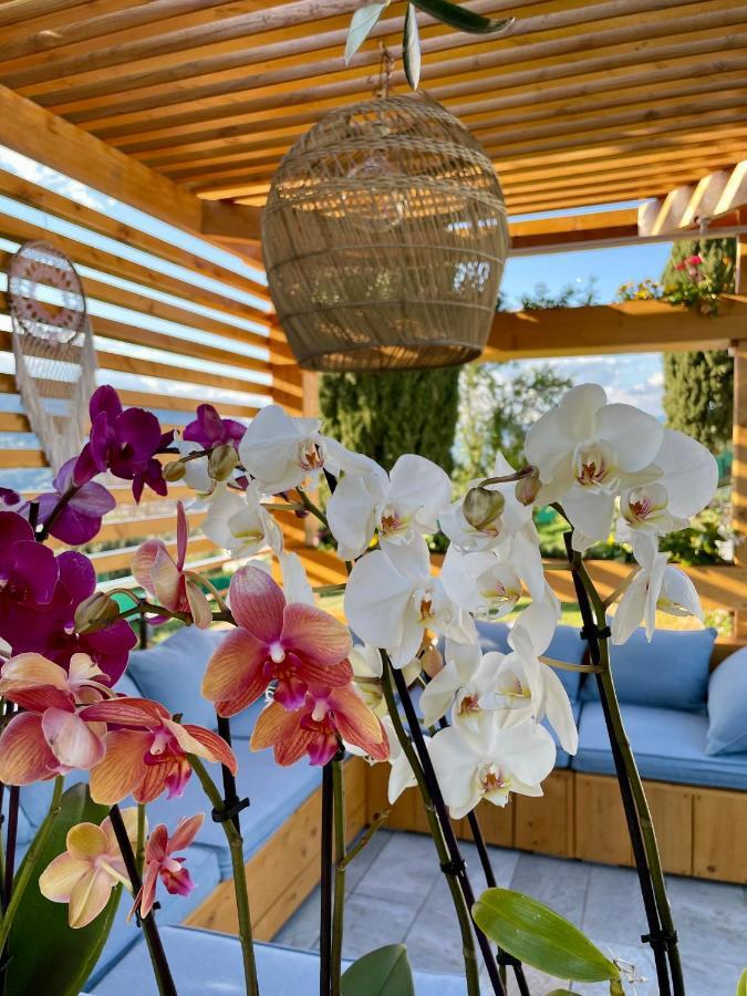 Bed and Breakfast Escondida Nizza Exterior foto